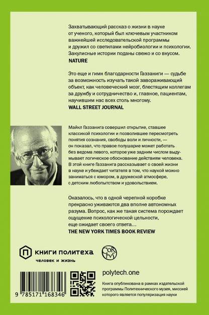 Истории от разных полушарий мозга