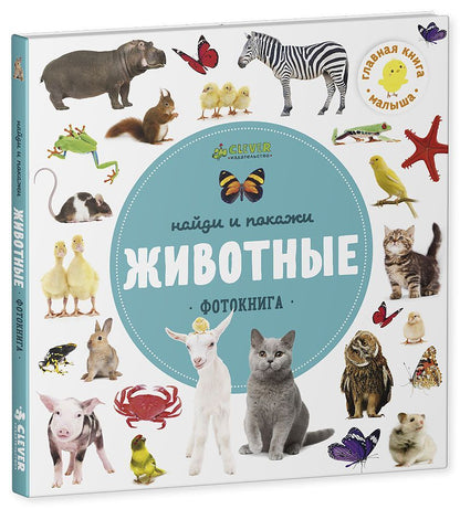 ГКМ. Найди и покажи. Фотокниги. Животные