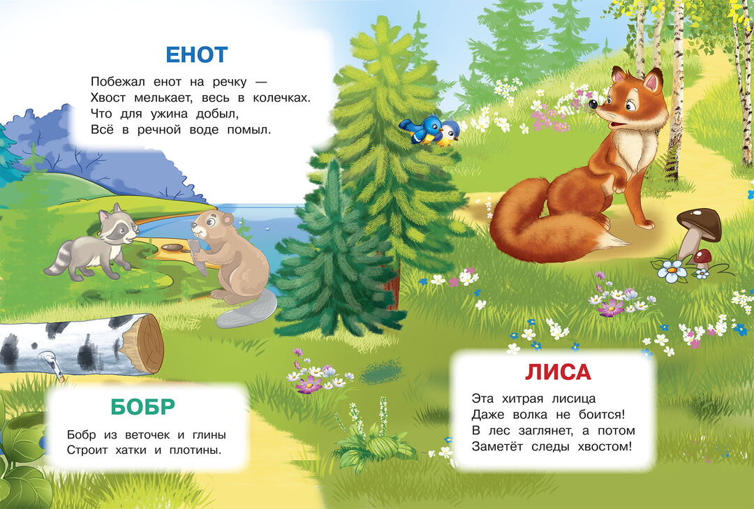 Лесные животные. Играем и учимся (с наклейками). /Шестакова.