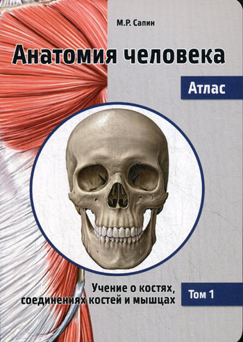 Анатомия человека. Атлас. В 3 т. Т. 1: Учение о костях, соединениях костей и мышцах: Учебное пособие. 2-е изд., перераб. Сапин М.Р.