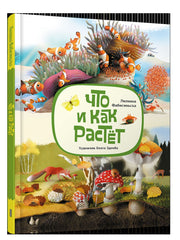 Что и как растёт