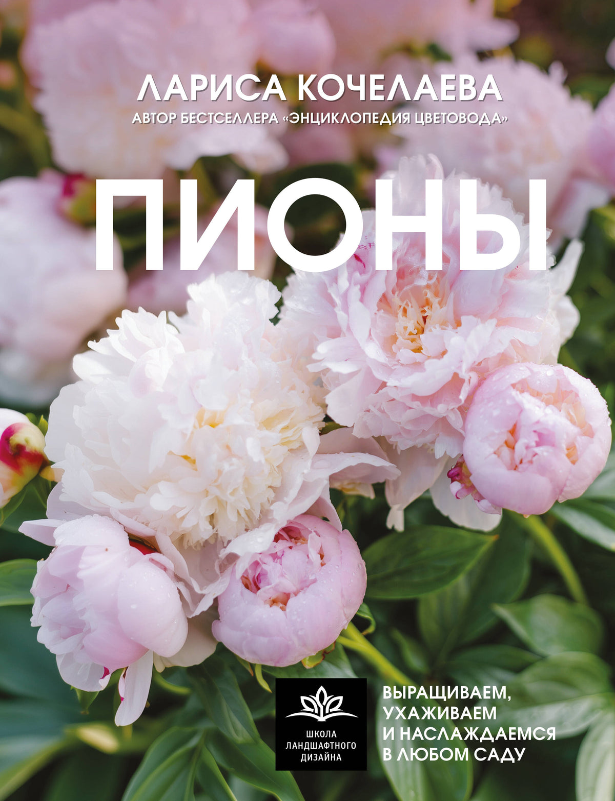 Пионы. Выращиваем, ухаживаем и наслаждаемся в любом саду