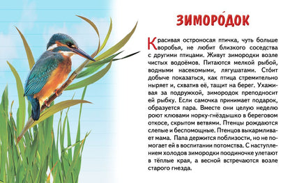 Карточки. Перелетные птицы России ; Карточки. Перелетные птицы России