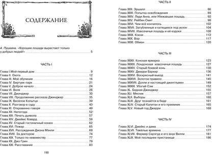 Чёрный Красавчик (нов.обл.)