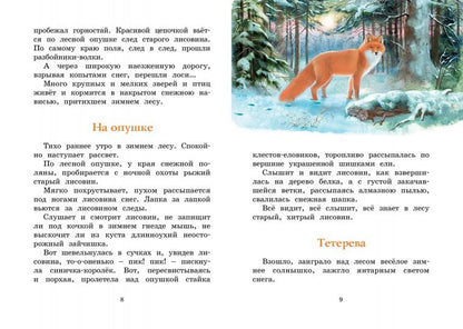Год в лесу. Рассказы о природе