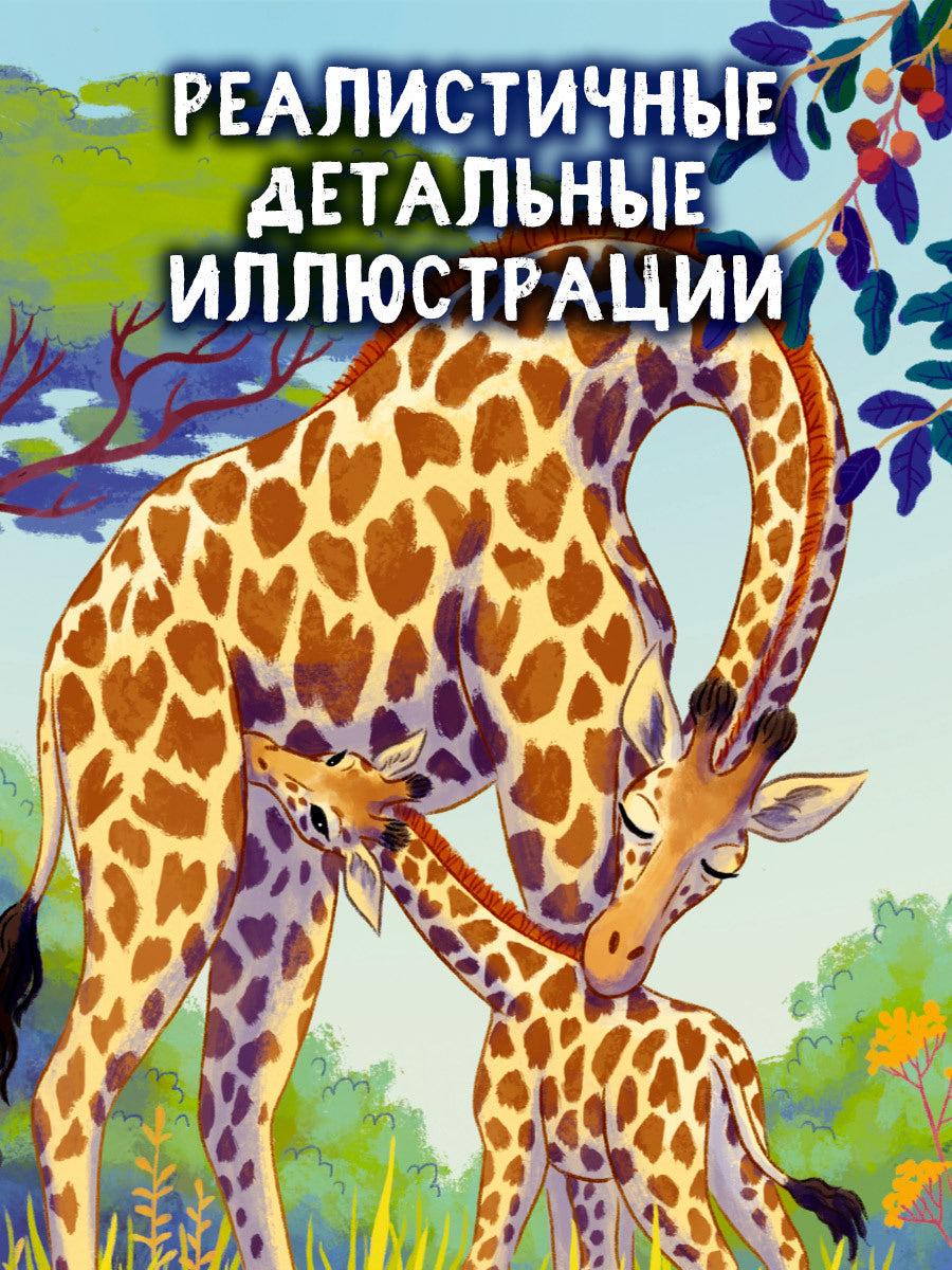 Удивительные животные. Малышка жираф. Приключения в саванне/Шармахер-Шрайбер К.