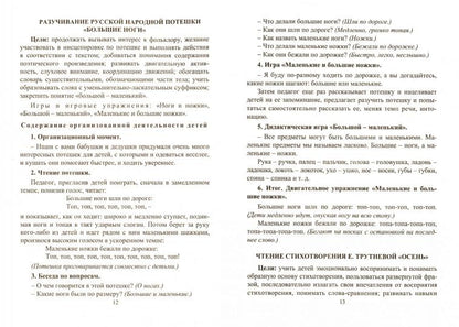 Бойко. Формирование коммуникативного и социального опыта у детей с ЗПР. Система коррекционно-развивающих занятий. Старшая группа (ФГОС ДО)