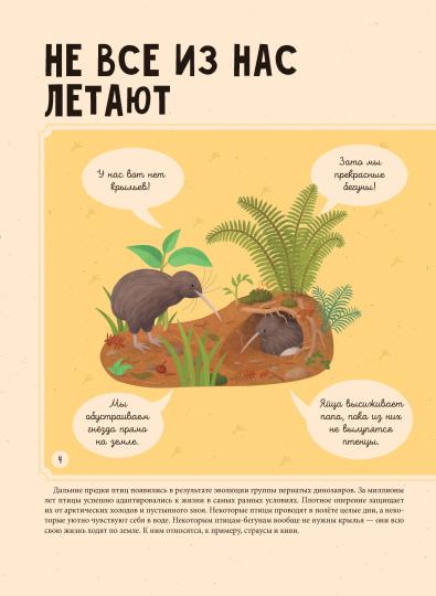Птицы