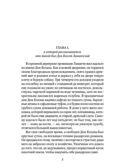 Дон Кихот: роман
