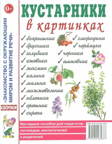 Кустарники в картинках [Нагл. пособие]