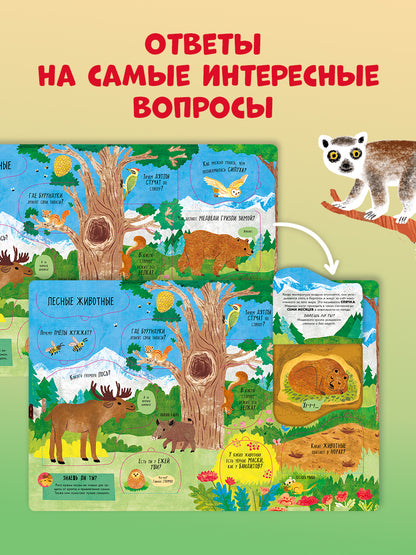Книжка с окошками. Большая книга с окошками. Животные/Мосс Р.