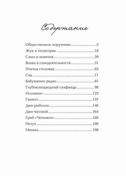 Жук и геометрия