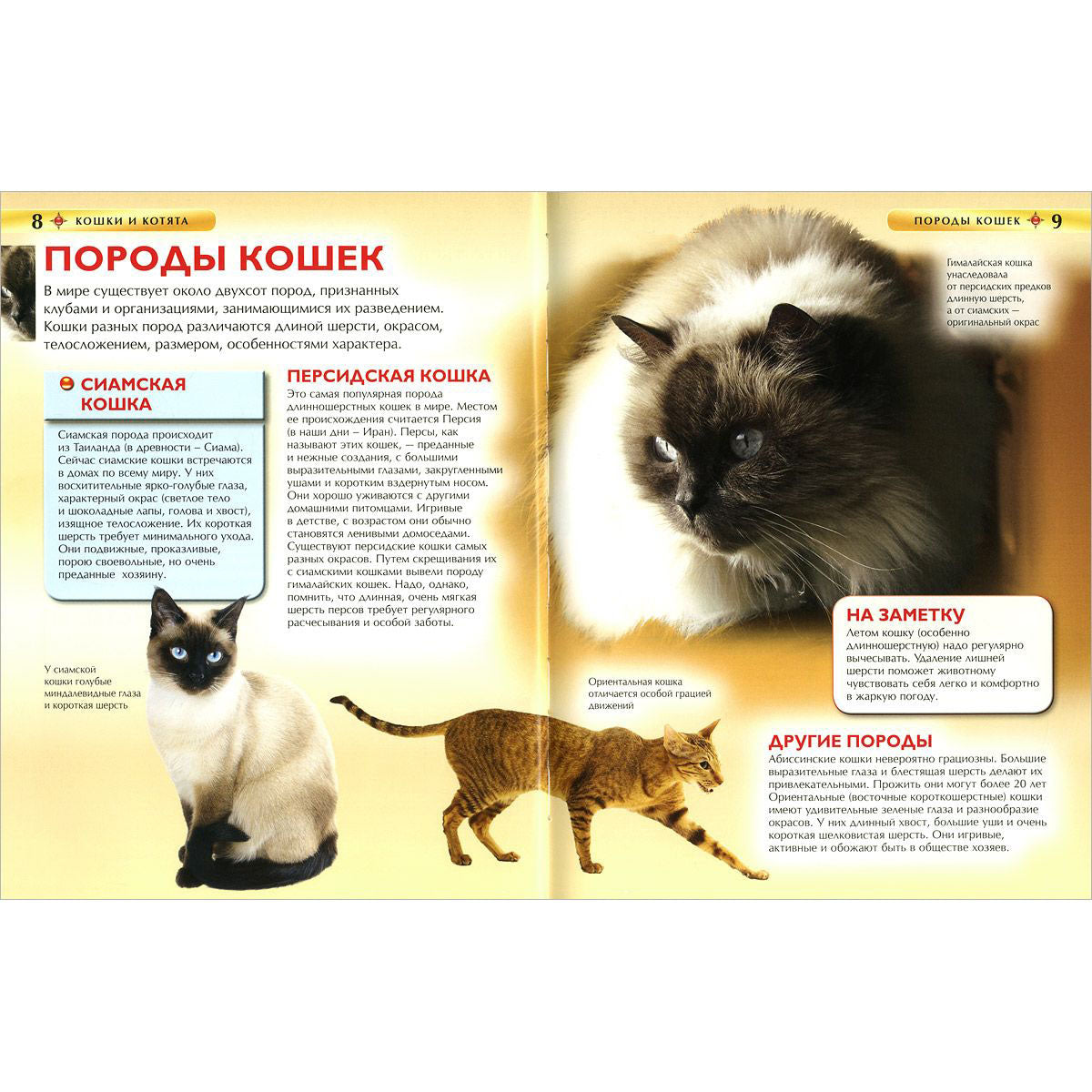 Кошки и котята. Детская энциклопедия
