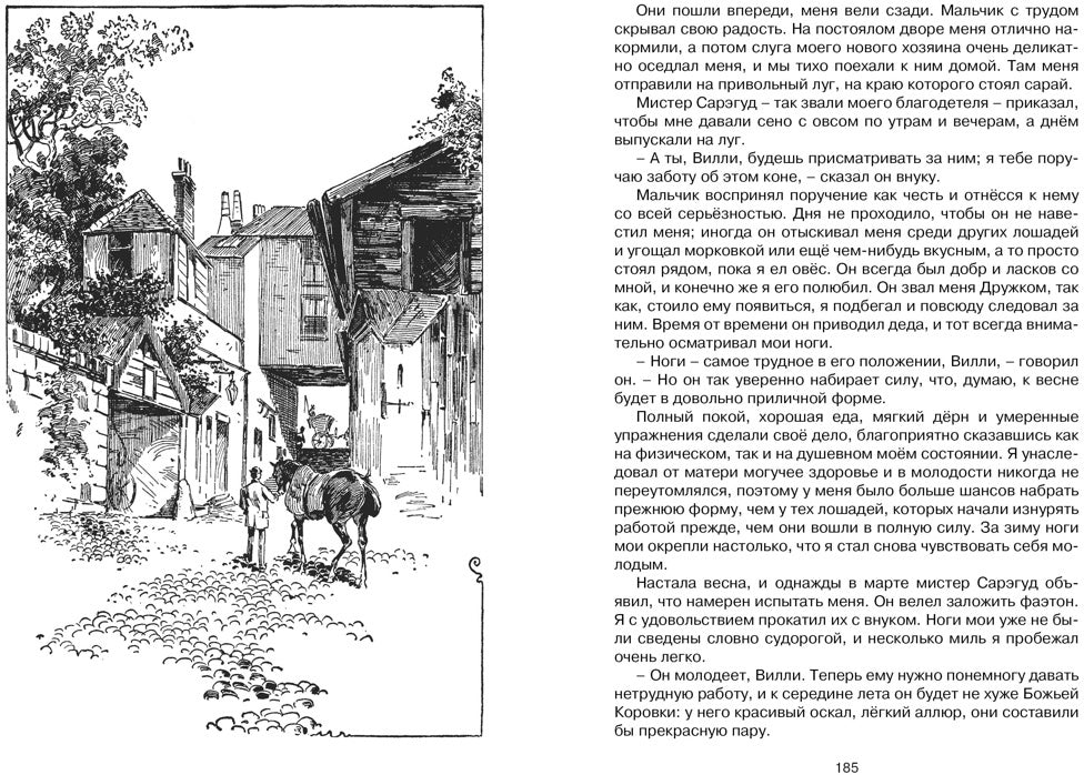 Чёрный Красавчик (нов.обл.)