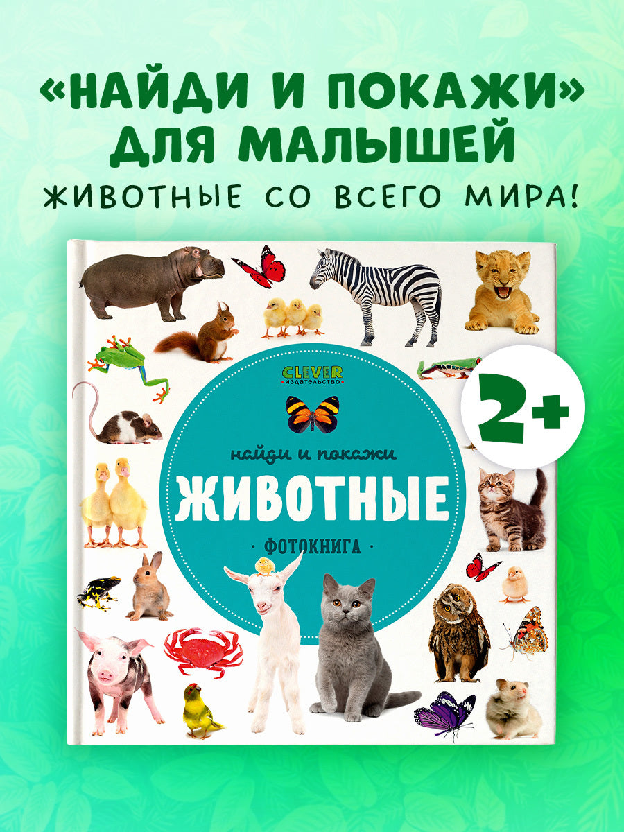 ГКМ. Найди и покажи. Фотокниги. Животные