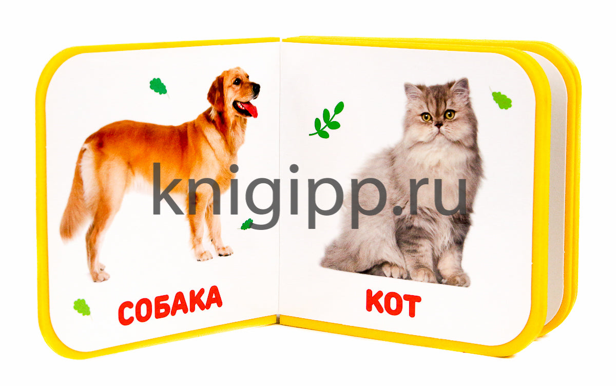 КНИЖКИ НА ПЕНЕ. ДОМАШНИЕ ЖИВОТНЫЕ