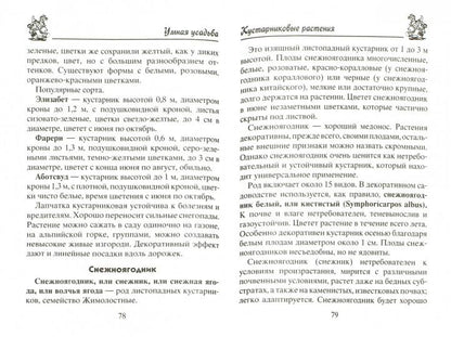 Декоративные кустарники