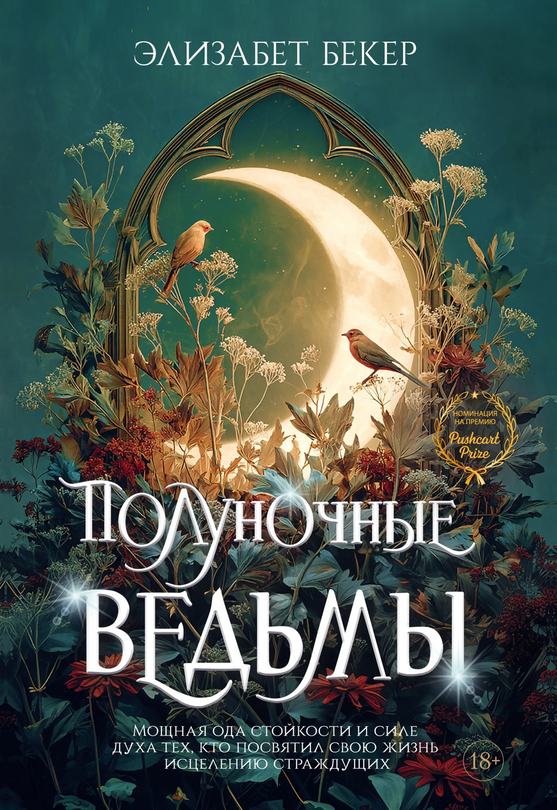 Полуночные ведьмы (новое оформление)