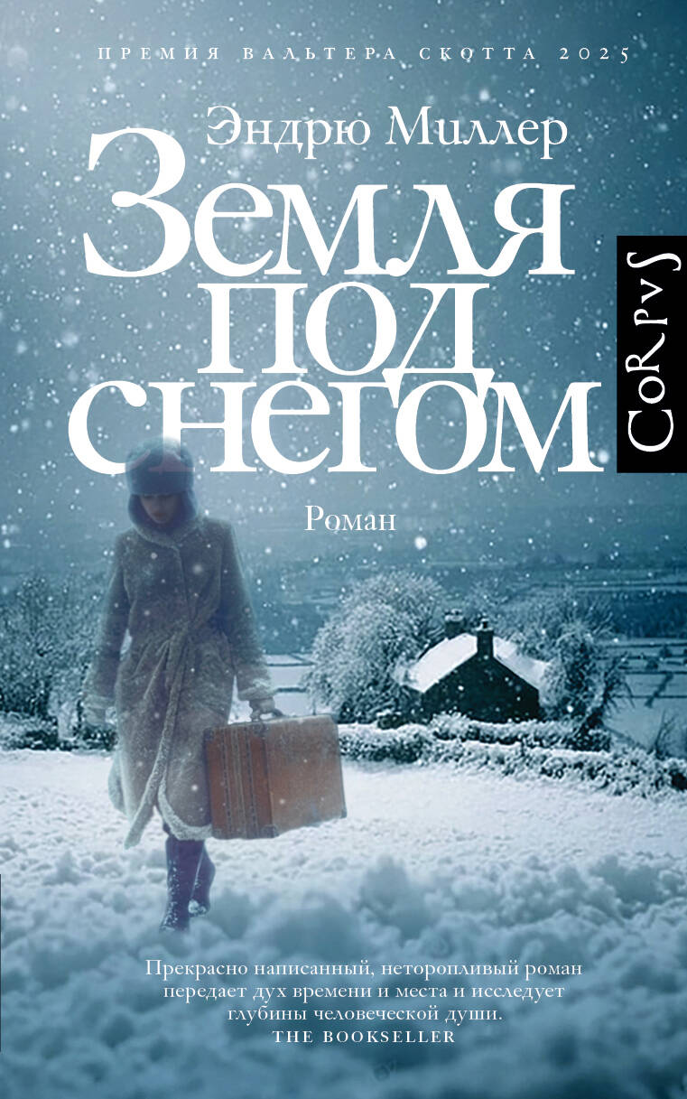 Земля под снегом
