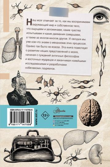 Мозг. От древних мифов к нейробиологии