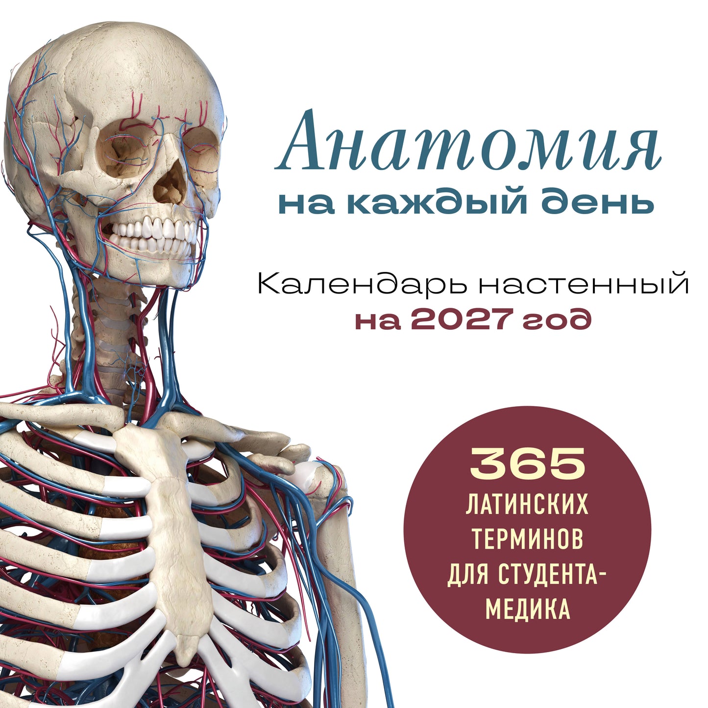Анатомия на каждый день. 365 латинских терминов для студента-медика. Календарь настенный на 2027 год (300х300 мм)