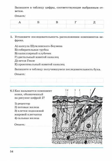 Биология. Человек. 8кл [Контрл.-провер. работы]