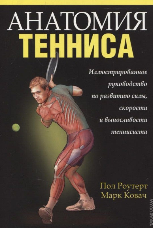 Анатомия тенниса