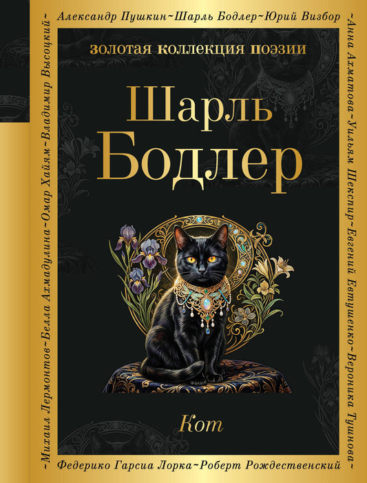 Кот