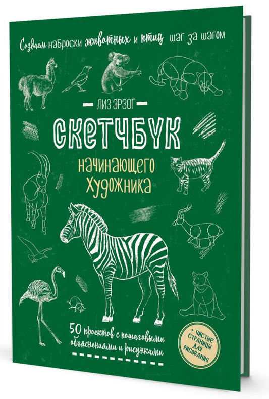 Создаем наброски животных и птиц (зебра зеленая). Скетчбук начинающего художника