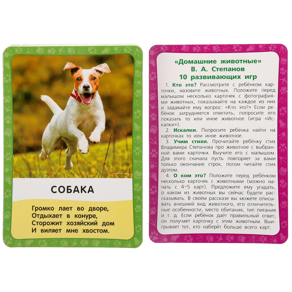 Домашние животные. Картонные карточки: 88х126мм, 36шт. <br> Кор.: 93х130х22мм. Умные игры в кор.40шт