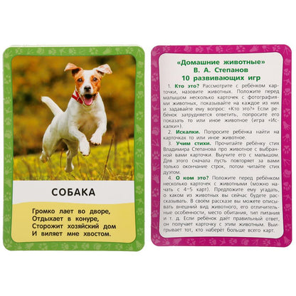 Домашние животные. Картонные карточки: 88х126мм, 36шт. <br> Кор.: 93х130х22мм. Умные игры в кор.40шт