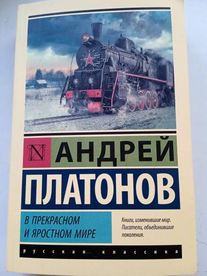 В прекрасном и яростном мире