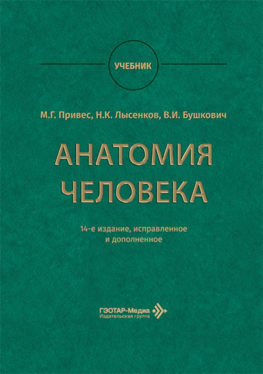 Анатомия человека : учебник / М. Г. Привес, Н. К. Лысенков, В. И. Бушкович ; науч. ред. А. А. Славнов, А. А. Белкина. — 14-е изд., испр. и доп. — Москва : ГЭОТАР-Медиа, 2026. — 896 с. : ил.
