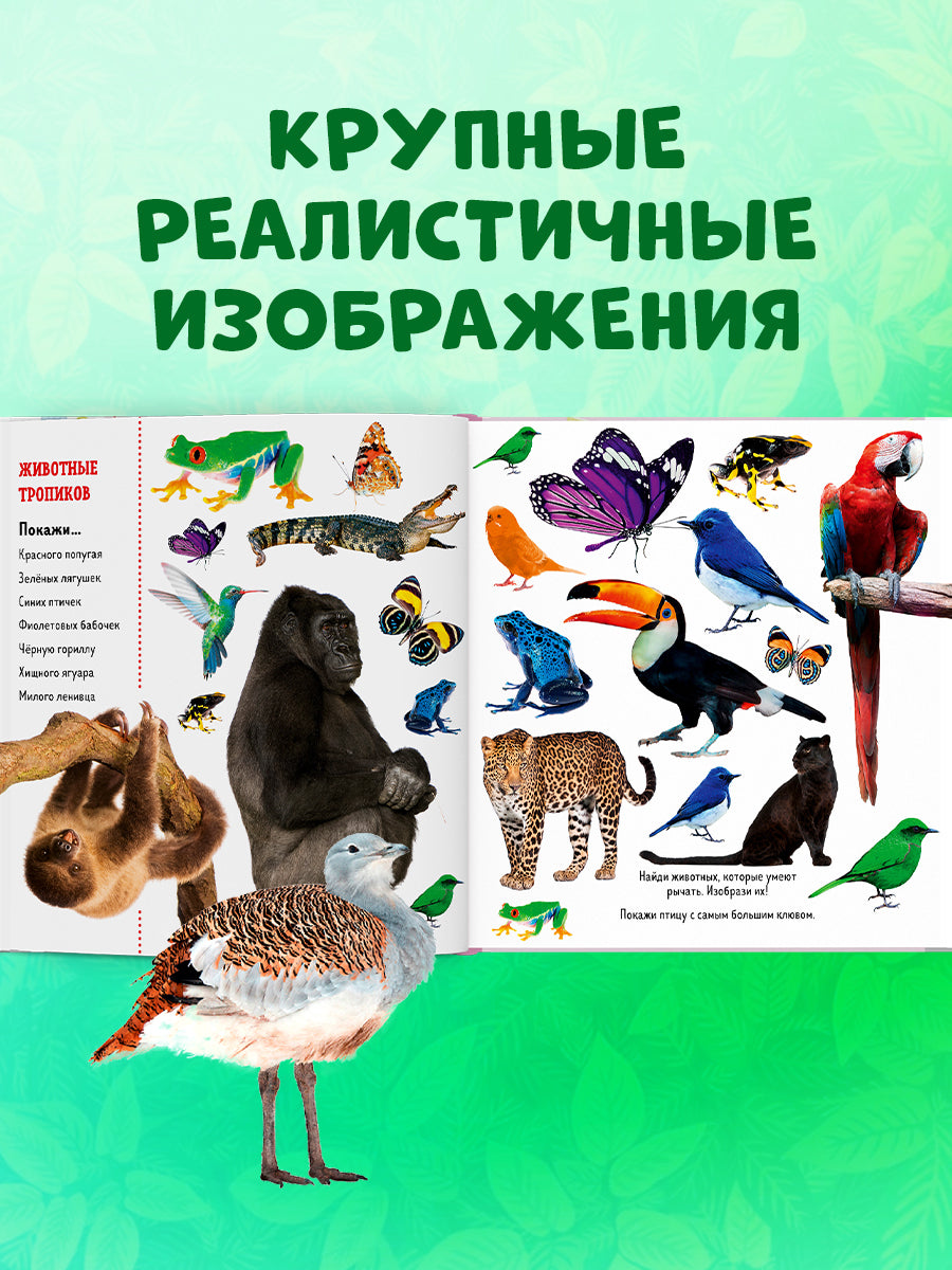 ГКМ. Найди и покажи. Фотокниги. Животные