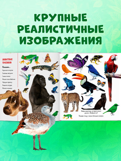 ГКМ. Найди и покажи. Фотокниги. Животные