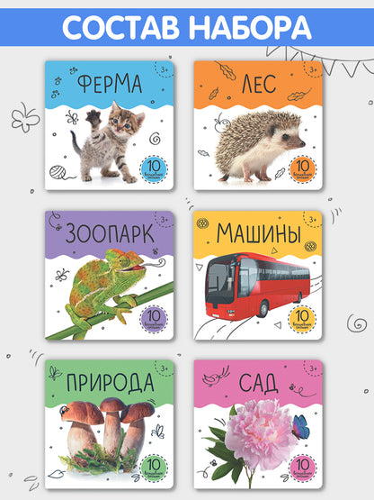 Malamalama. Шоубокс "Мир в картинках"