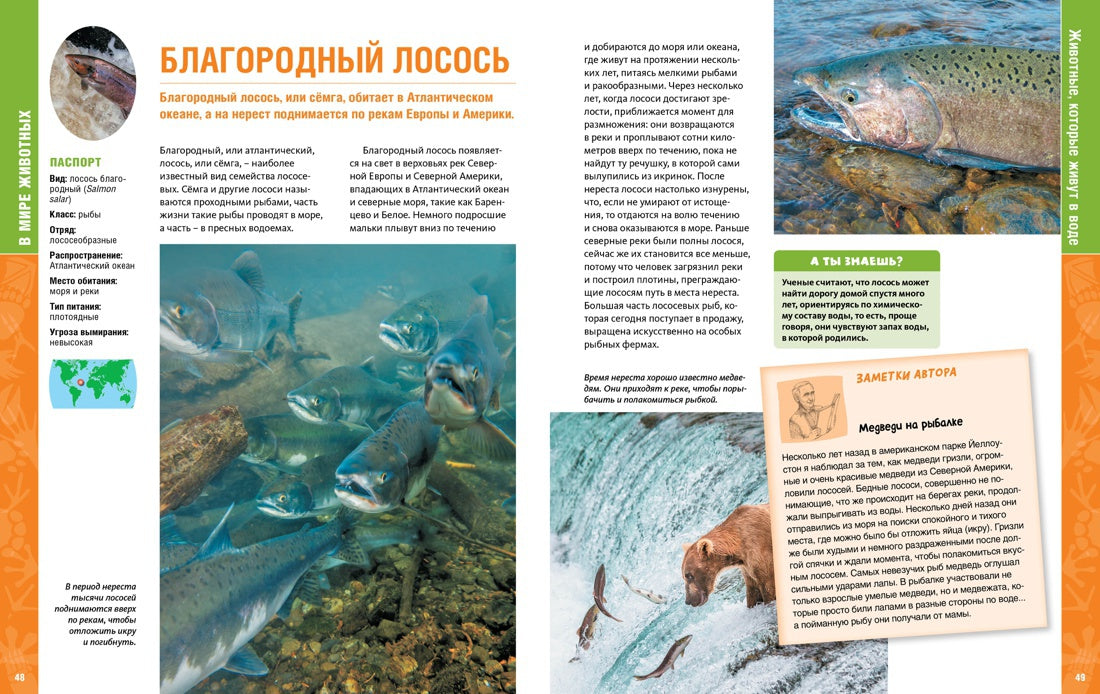 В мире животных