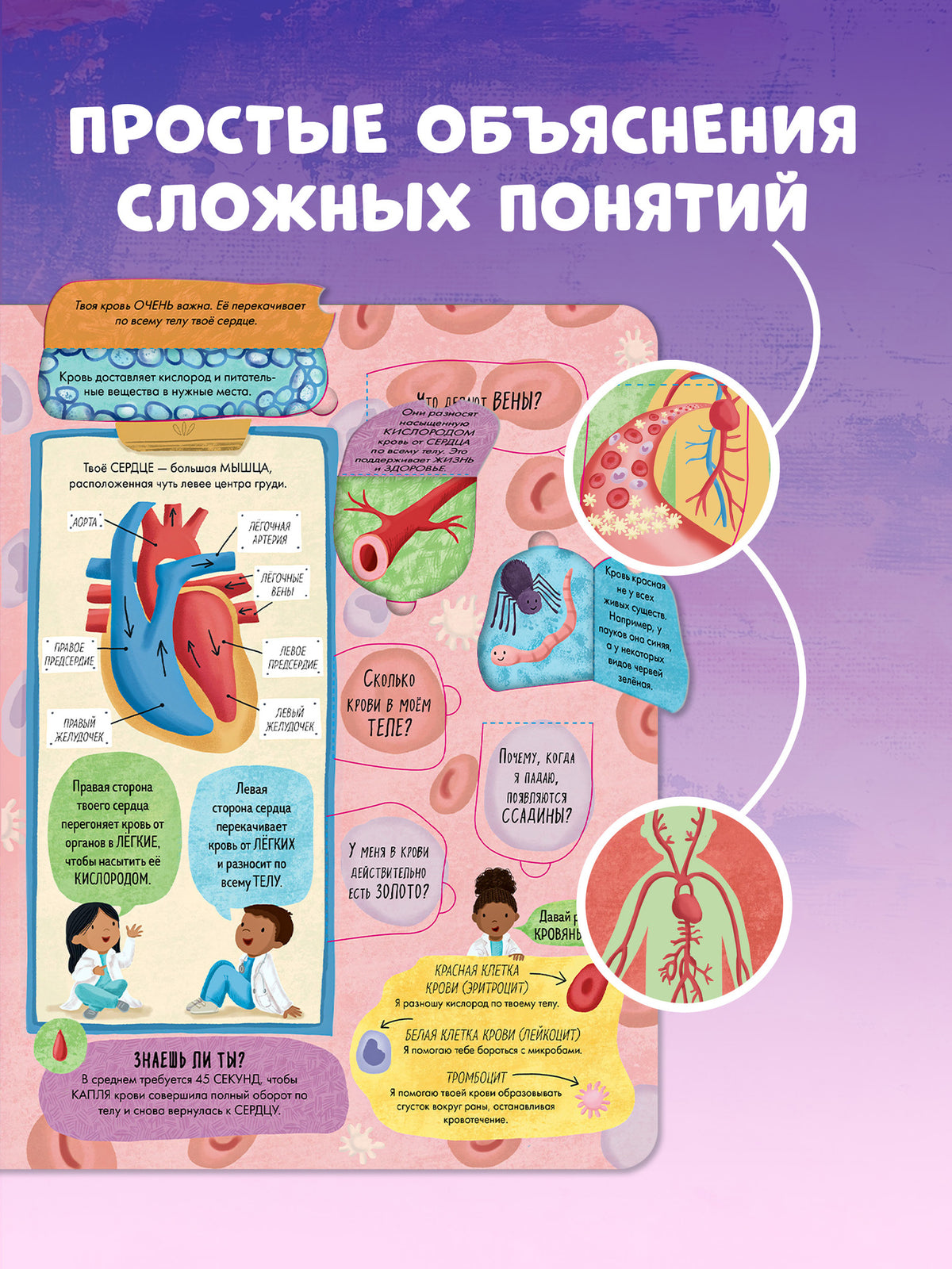 Книжка с окошками. Большая книга с окошками. Тело человека/Мосс Р.