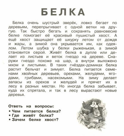 Дикие животные (20 карточек с европодвесом)