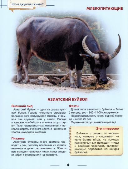 ЭНЦИКЛОПЕДИЯ ДЛЯ ДЕТЕЙ новые. КТО В ДЖУНГЛЯХ ЖИВЁТ?