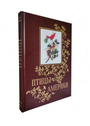 Птицы Америки