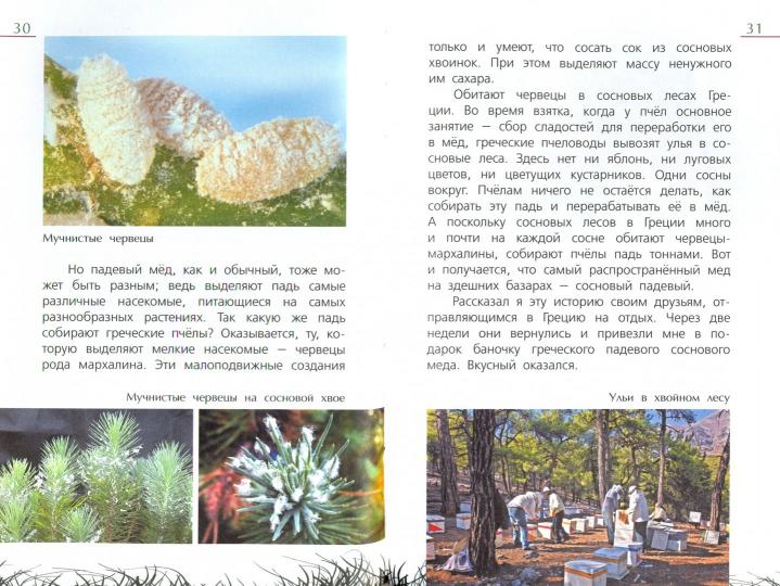 Язык на ногах. Очерки о насекомых