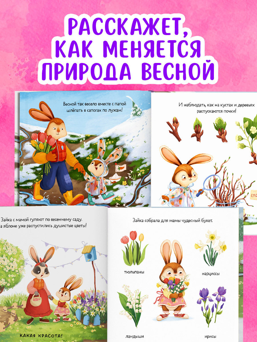 Книжки-картинки. Зайка и чудесная весна/Нет а.