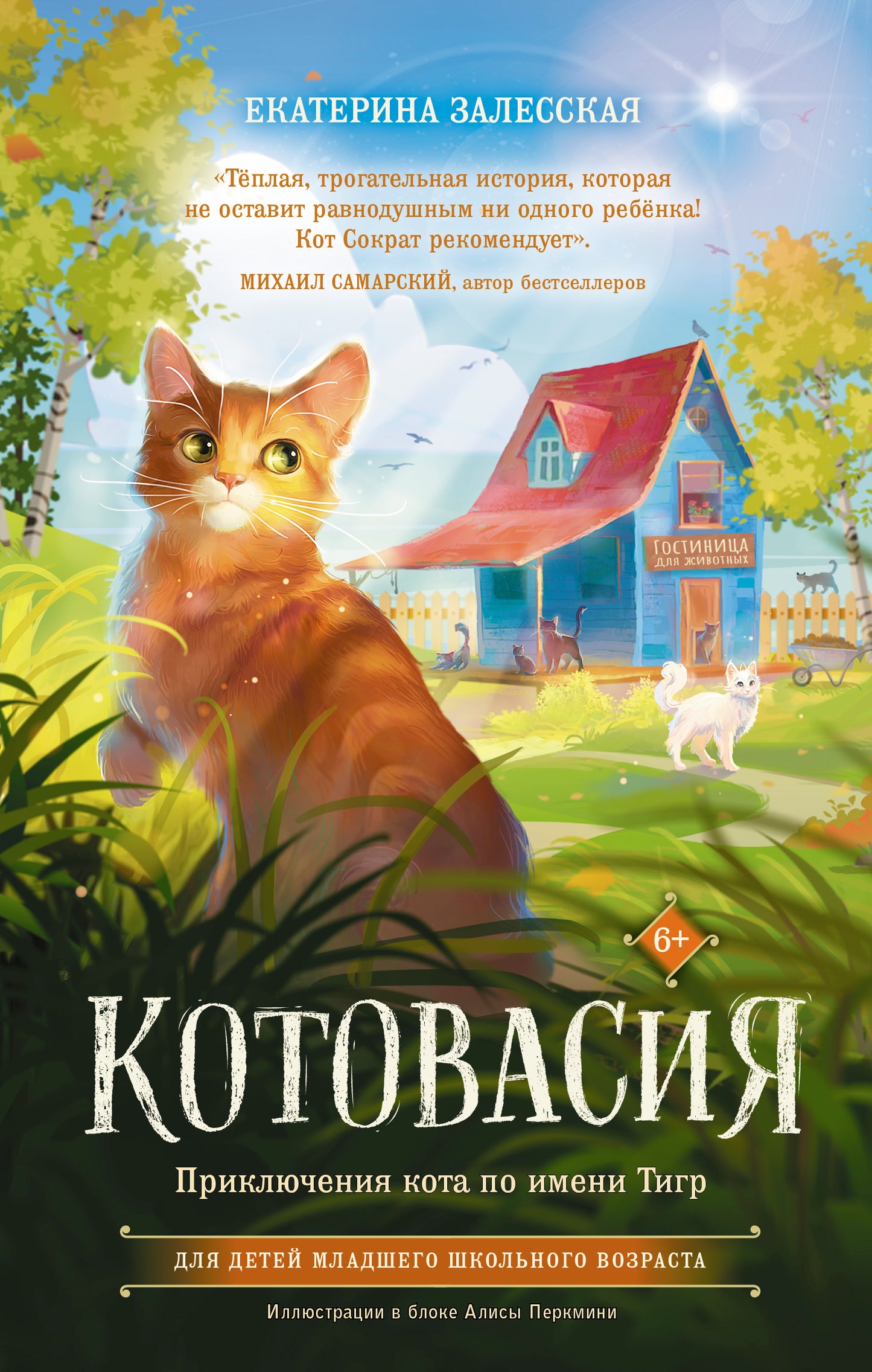 Котовасия. Приключения кота по имени Тигр