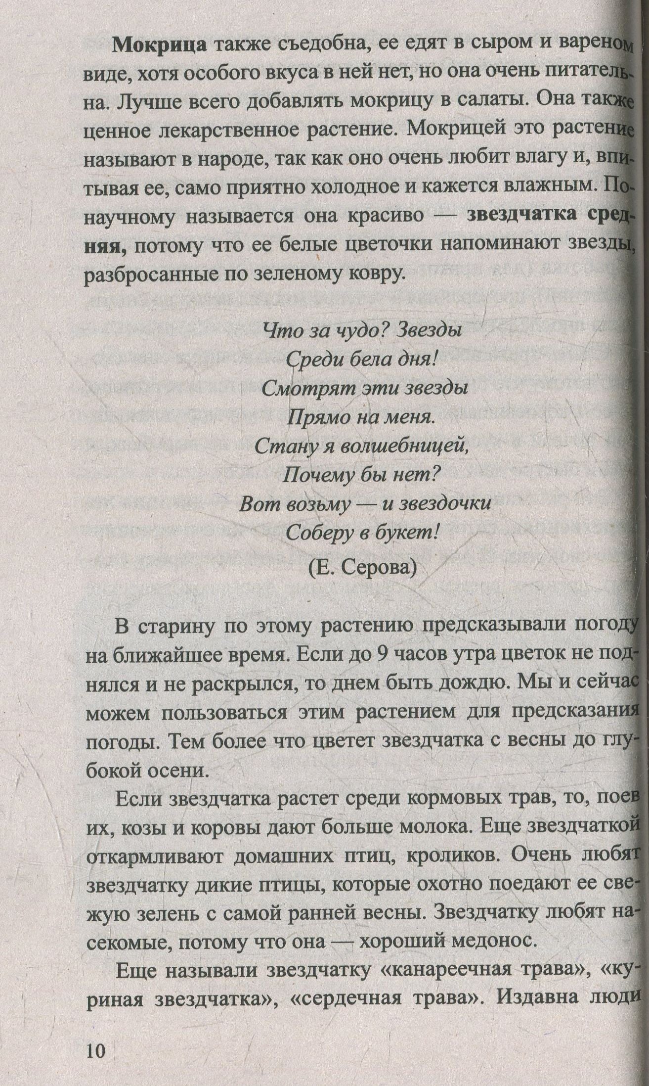 Сныть и мокрица. Мифы и реальность
