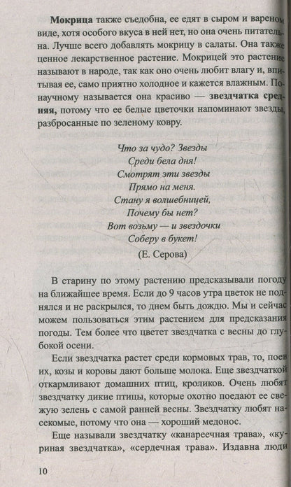 Сныть и мокрица. Мифы и реальность