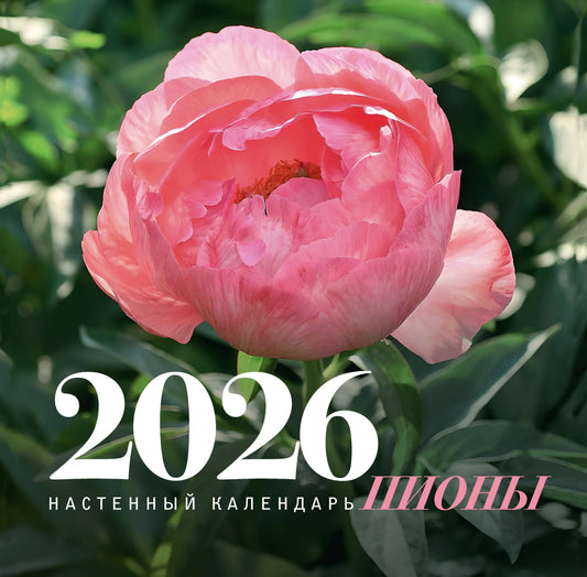 Пионы. Настенный календарь на 2026 год