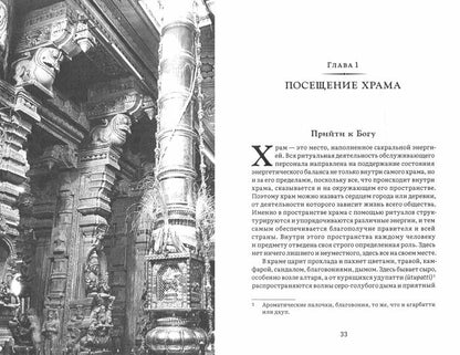 История и культура индийского храма. Книга II: Жизнь храма с илл