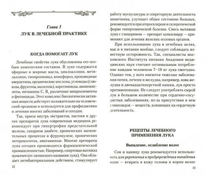 Лук. Мифы и реальность