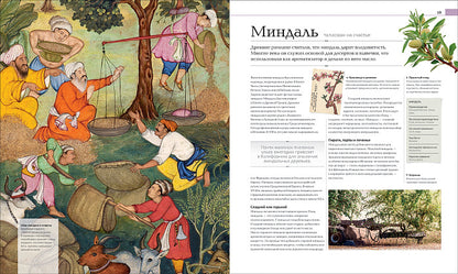 История еды